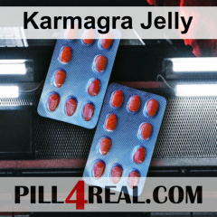 Karmagra Jelly 691