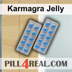 Karmagra Jelly 790