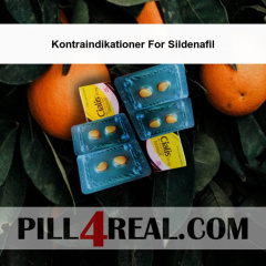 Kontraindikationer For Sildenafil 841