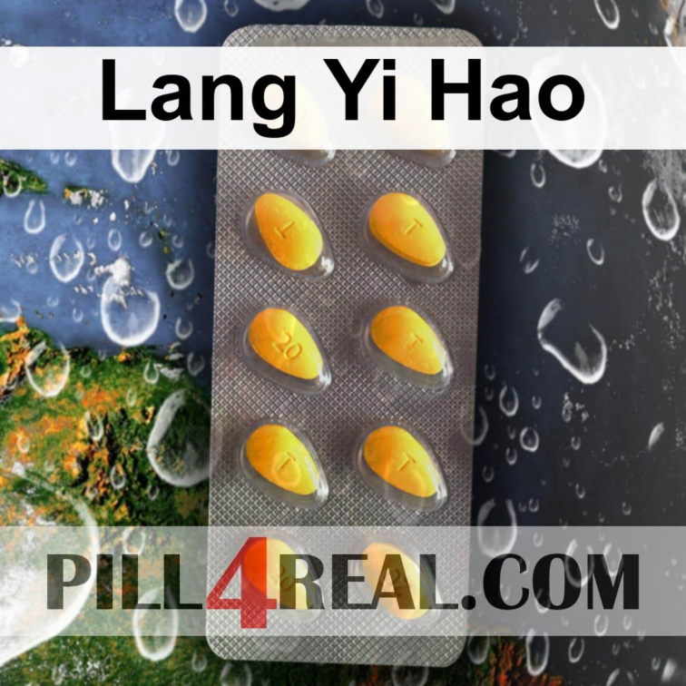 Lang Yi Hao 255