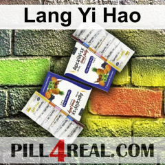 Lang Yi Hao 312