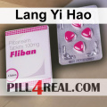 Lang Yi Hao 417