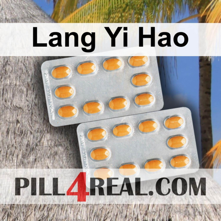 Lang Yi Hao 571