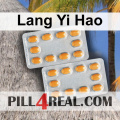 Lang Yi Hao 571