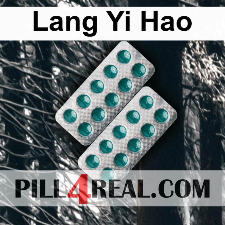 Lang Yi Hao 703