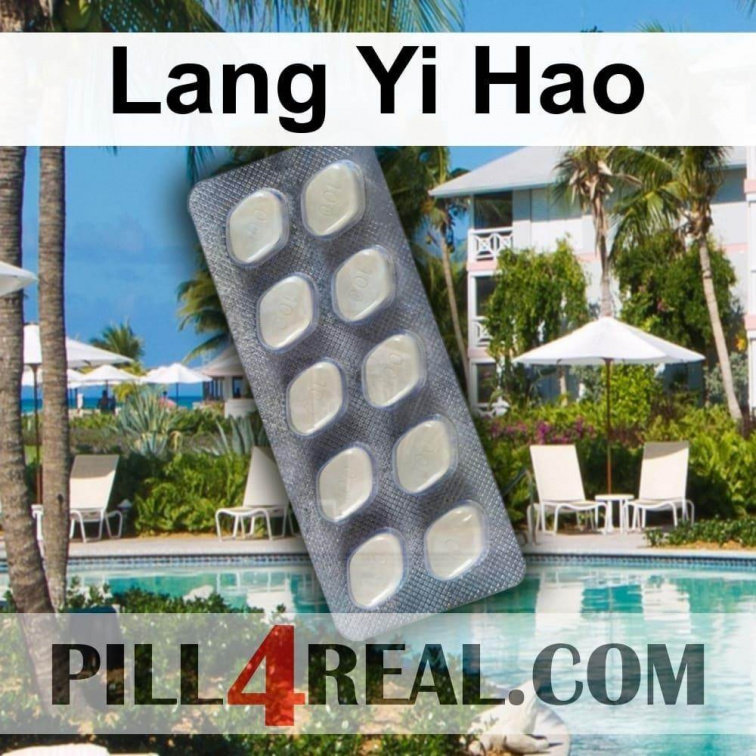 Lang Yi Hao 710