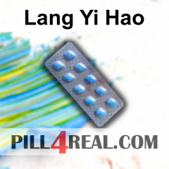 Lang Yi Hao 895