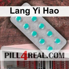 Lang Yi Hao 896