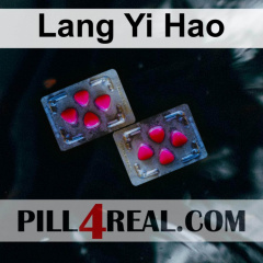 Lang Yi Hao 946