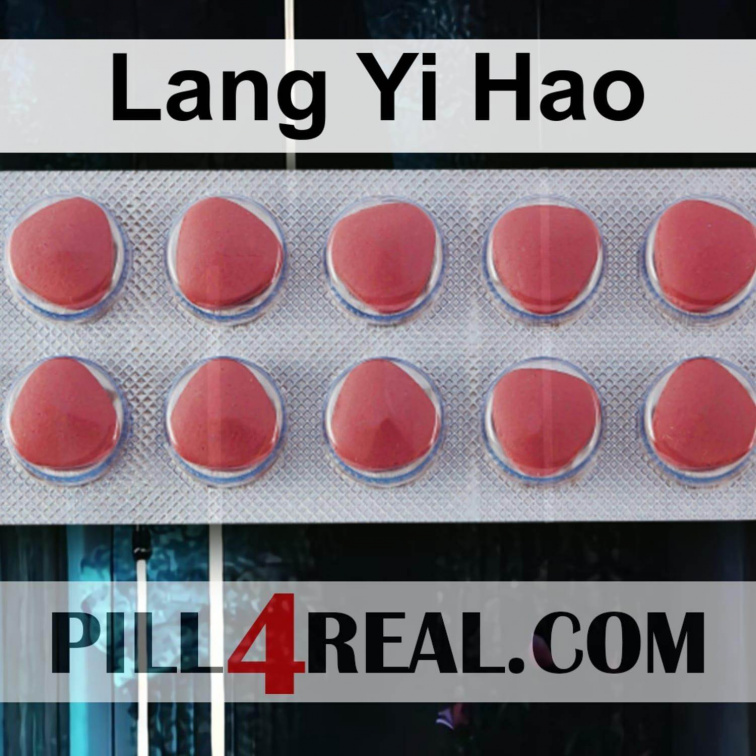 Lang Yi Hao 975