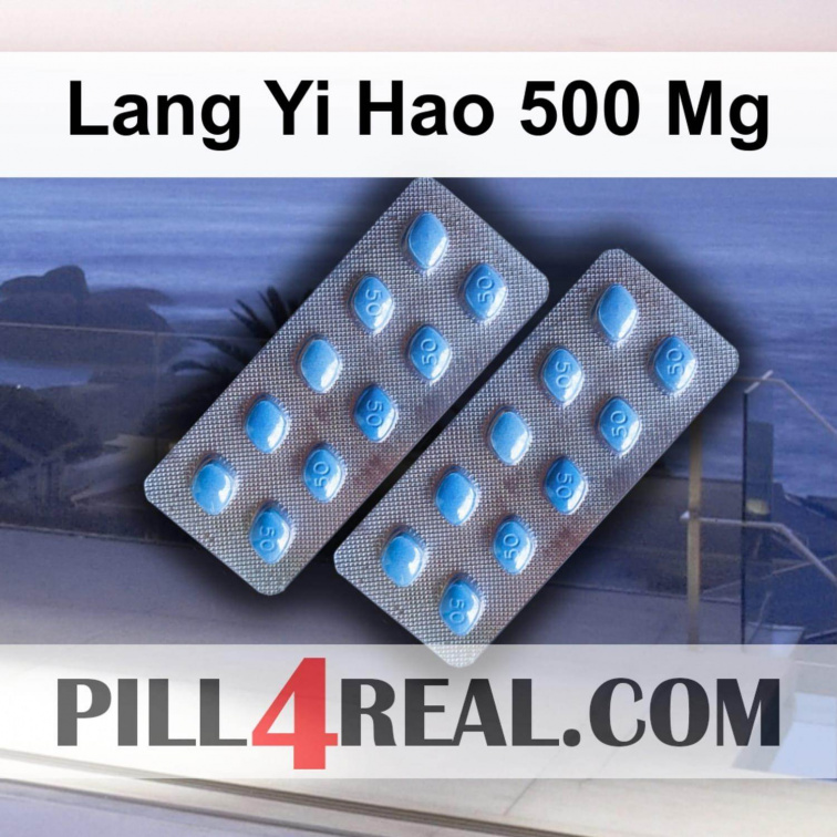 Lang Yi Hao 500 Mg 042