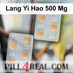 Lang Yi Hao 500 Mg 071