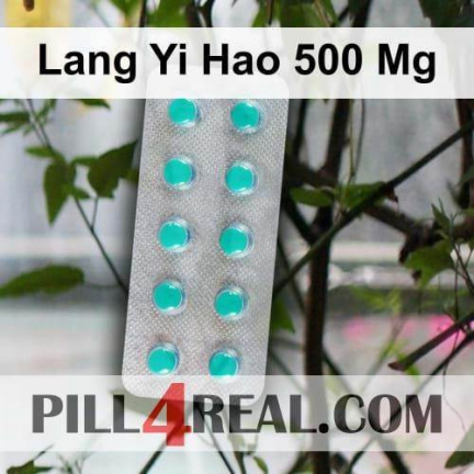 Lang Yi Hao 500 Mg 465