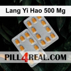 Lang Yi Hao 500 Mg 617