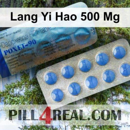 Lang Yi Hao 500 Mg 623