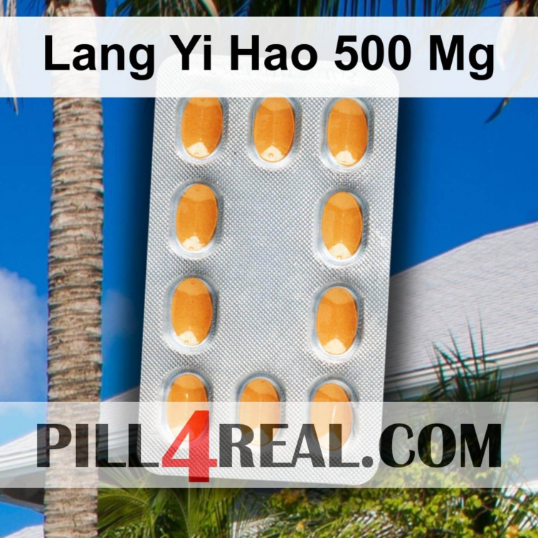 Lang Yi Hao 500 Mg 711