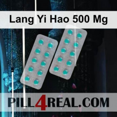 Lang Yi Hao 500 Mg 870