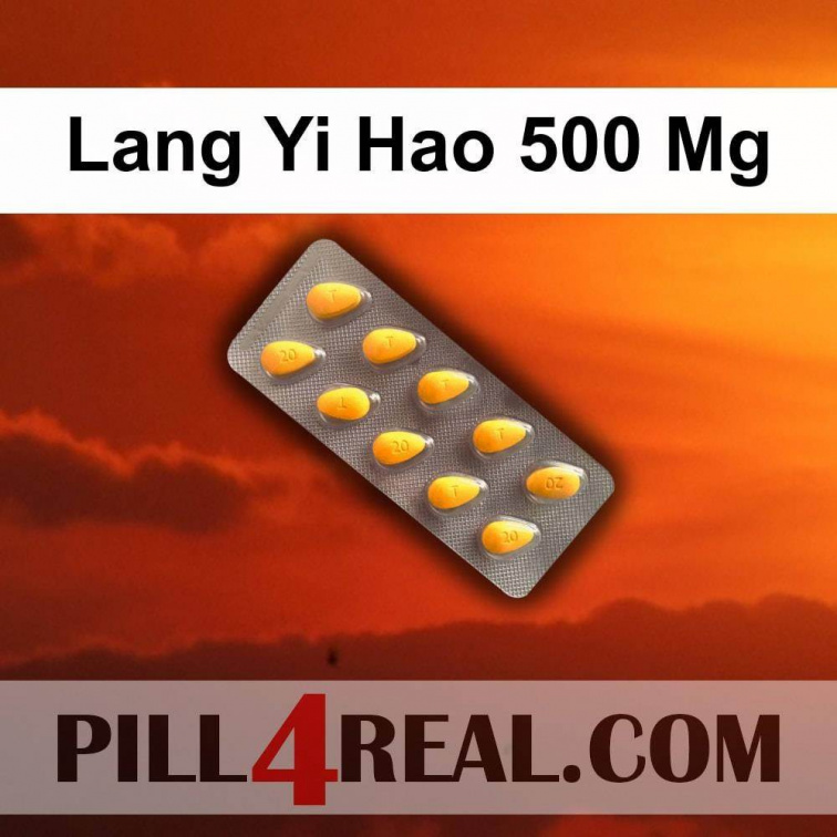 Lang Yi Hao 500 Mg 960