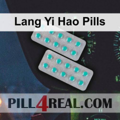 Lang Yi Hao Pills 160