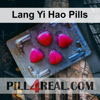 Lang Yi Hao Pills 162