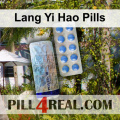 Lang Yi Hao Pills 307
