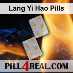 Lang Yi Hao Pills 450