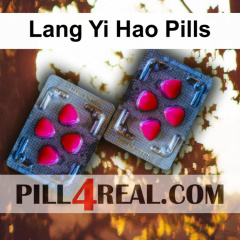 Lang Yi Hao Pills 510