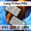 Lang Yi Hao Pills 538