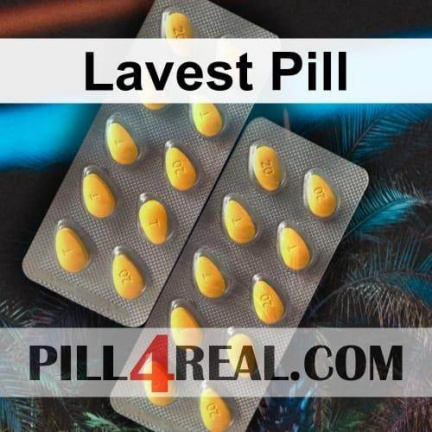 Lavest Pill 141