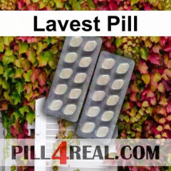 Lavest Pill 587