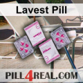 Lavest Pill 716