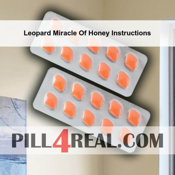 Leopard_Miracle_Of_Honey_Instructions_092.jpg