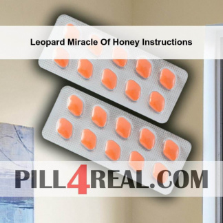 Leopard Miracle Of Honey Instructions 092