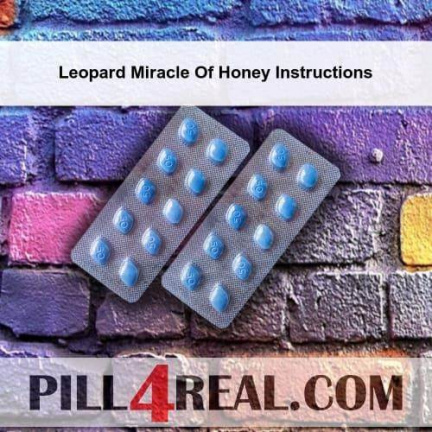 Leopard Miracle Of Honey Instructions 193