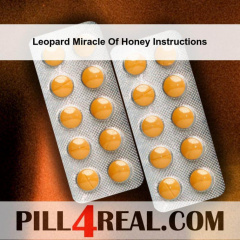 Leopard Miracle Of Honey Instructions 258