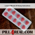 Leopard Miracle Of Honey Instructions 291