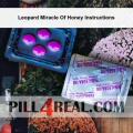 Leopard Miracle Of Honey Instructions 294