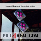 Leopard Miracle Of Honey Instructions 356