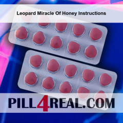 Leopard Miracle Of Honey Instructions 503