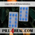 Leopard Miracle Of Honey Instructions 587