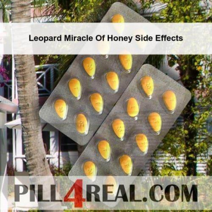 Leopard Miracle Of Honey Side Effects 451