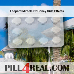 Leopard Miracle Of Honey Side Effects 930