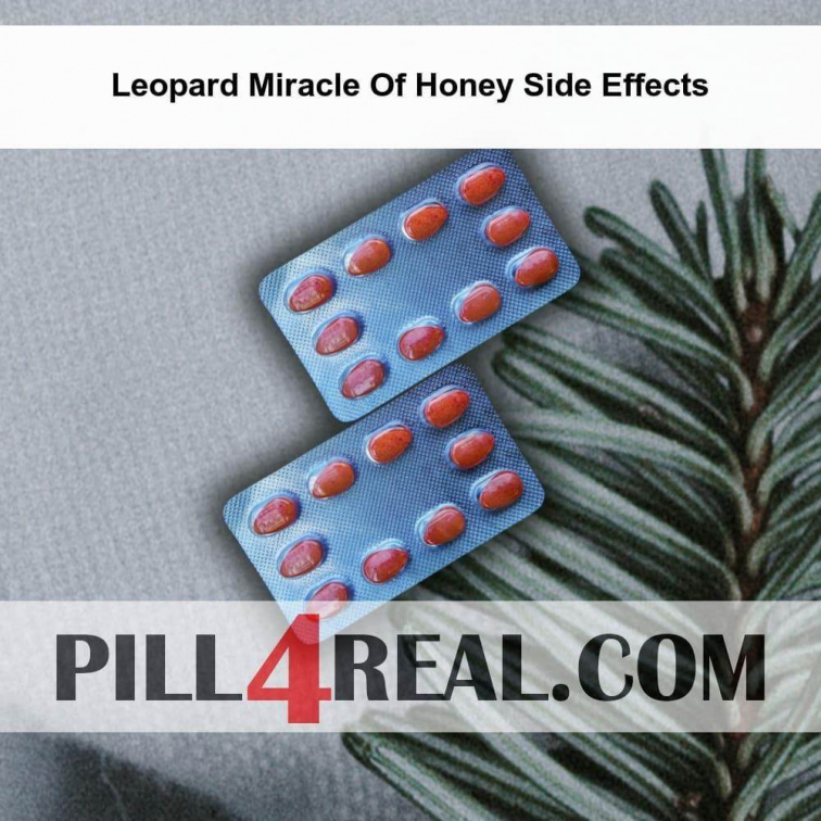 Leopard Miracle Of Honey Side Effects 959