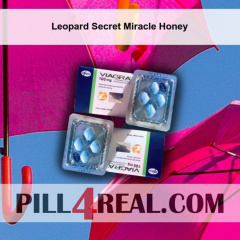 Leopard Secret Miracle Honey 075