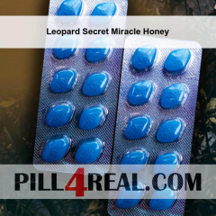 Leopard Secret Miracle Honey 091