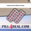 Leopard Secret Miracle Honey 109
