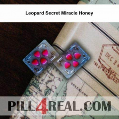 Leopard Secret Miracle Honey 217