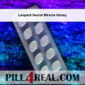 Leopard Secret Miracle Honey 231