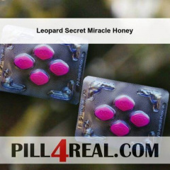 Leopard Secret Miracle Honey 337