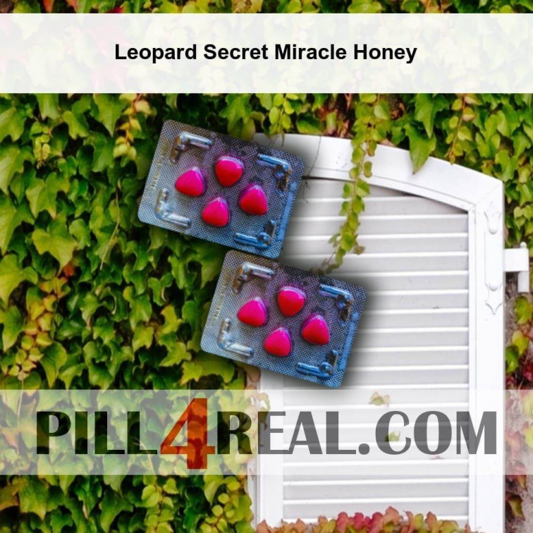 Leopard Secret Miracle Honey 395